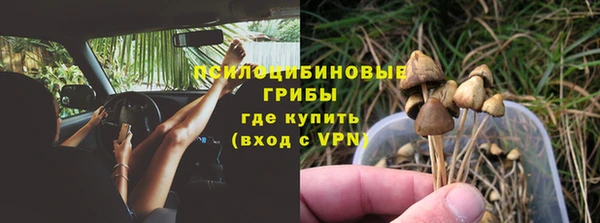 Альфа ПВП Бугульма