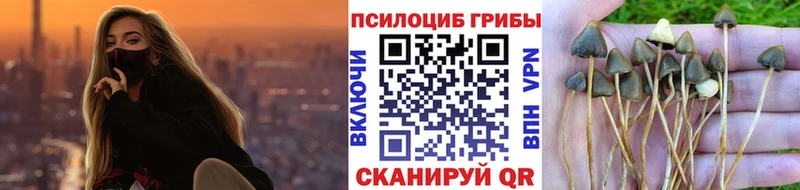 где продают   Шатура  Галлюциногенные грибы мицелий 